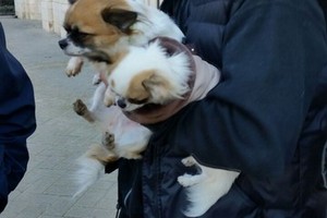 Img 20141214 Wa0014 1