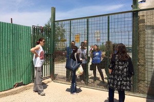 Caos al rifiugio San Francesco, scontro tra l'Oipa e la Lega Nazionale