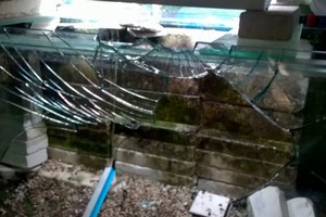Vandali in azione in villa comunale, acquario preso a sassate