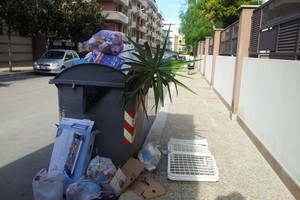 Rifiuti in via Città di Milano