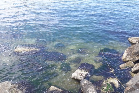 Degrado nel mare di Trani