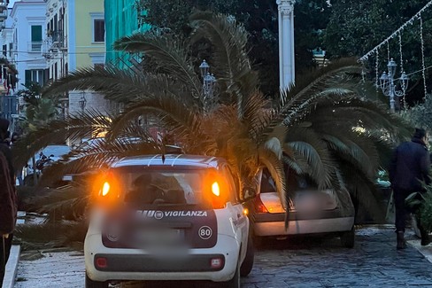 Trani - Piazza Libertà: tragedia sfiorata