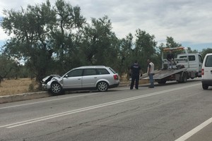Incidente sulla provinciale 238