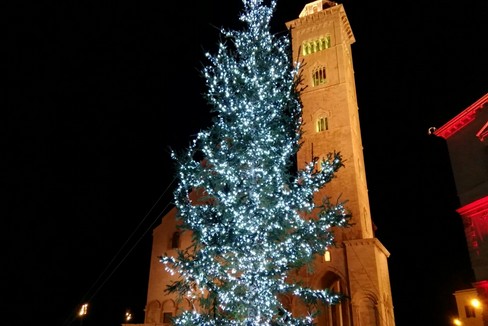 Natale 2016, l'albero in piazza Duomo