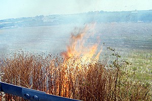 Incendio scarpate statale 16 bis a Trani