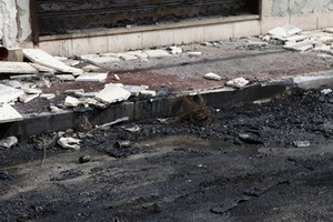 Incendio in via Corato