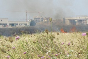 A fuoco i campi di via Andria