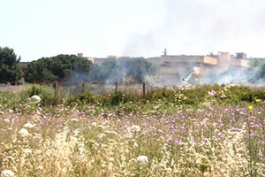 Incendio di campi incolti