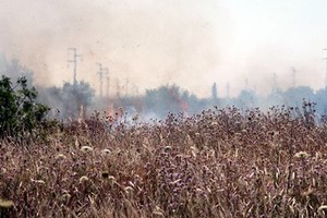 Incendio delle sterpaglie presso l'ex discarica Amiu di Trani