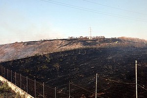 Incendio delle sterpaglie presso l'ex discarica Amiu di Trani
