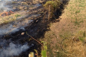 Incendio di sterpaglie al quartiere Stadio