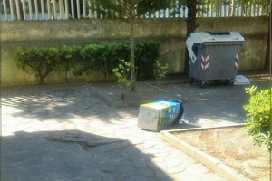 Scuola Dell'Olio