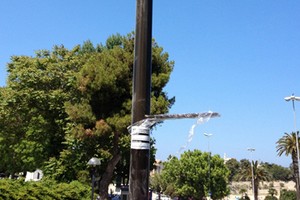 Nuovi impianti pubblicitari sul lungomare di Trani