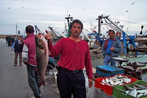 Pescatori sul porto di Trani