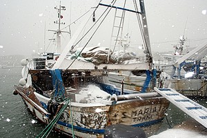 Neve a Trani su un peschereccio nel porto