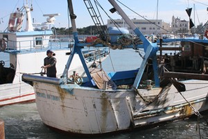 Peschereccio nel porto di Trani