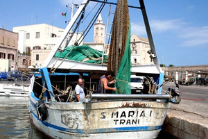 Peschereccio nel porto di Trani