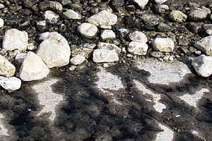 Petrolio sversato sugli scogli della spiaggia conche di Trani