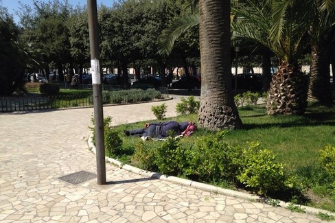 Trani: topi in Piazza della Repubblica