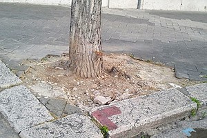 Marciapiede divelto in piazza Plebiscito