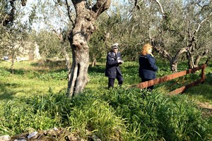 Polizia Locale in via Verdi