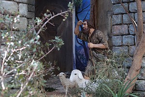 Presepe in piazza Libertà a Trani