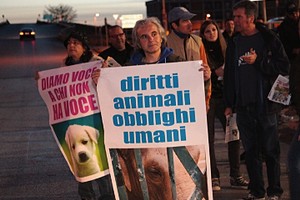 Protesta contro gli animali nel circo