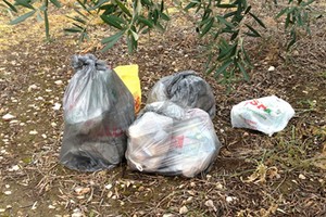 Rifiuti sulla provinciale Andria-Bisceglie