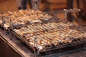 Sagra della seppia a Trani