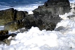 Schiuma bianca in mare alle conche