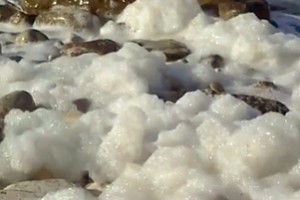 Schiuma in mare alle conche