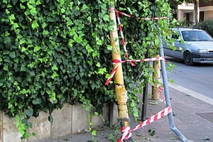 Semaforo abbattuto in via Bisceglie