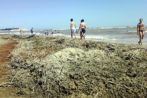 Spiagge sporche a Trani