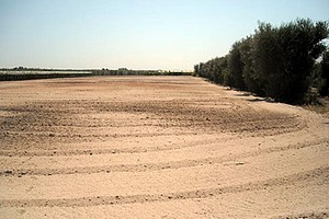 Terreno sequestrato a Trani