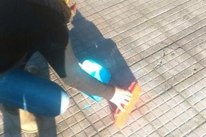 cittadina rimuove topicida