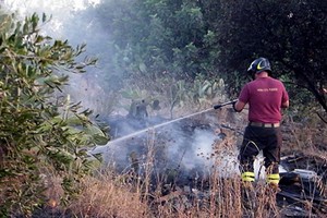 Vigili del Fuoco