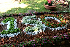 Trani, villa comunale in fiore
