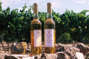 Valorizzazione dei prodotti tipici tranesi