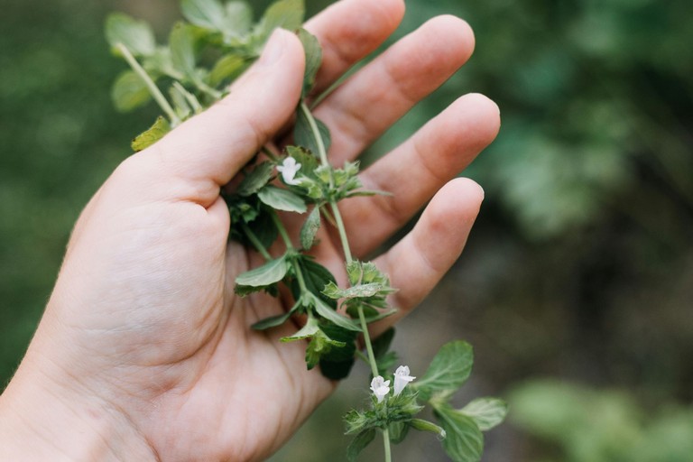 Prodotti naturali contro l'ansia