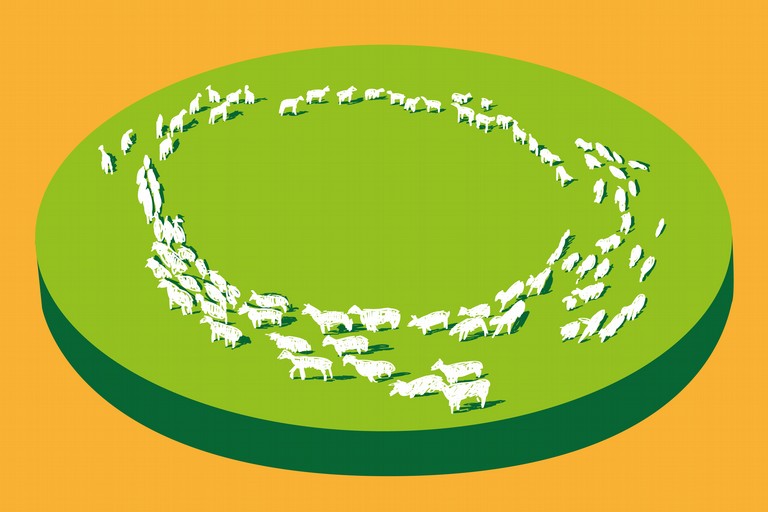 Pecore in cerchio