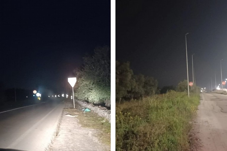 strada provinciale SP 12 Trani - Corato. <span>Foto Adriana Fabrizio</span>
