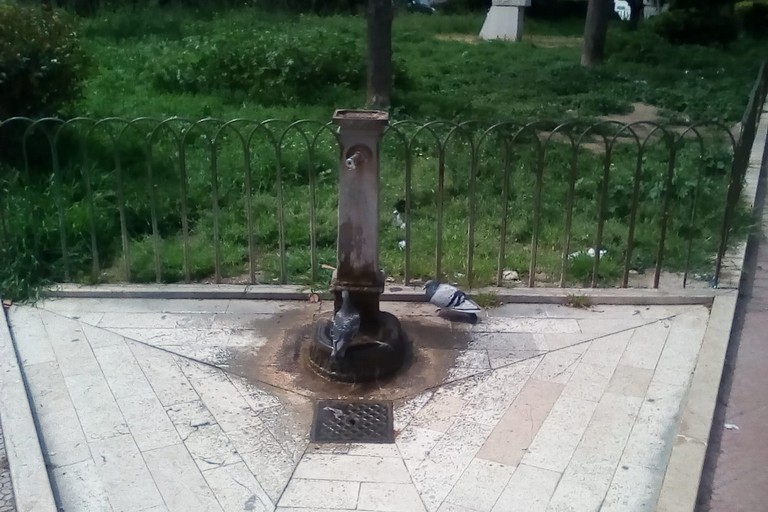 Trani Piazza Albanese, la fontana