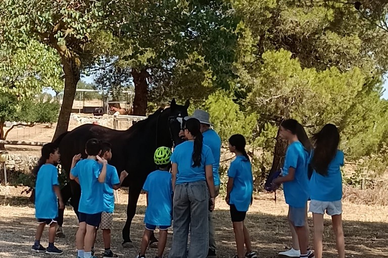Campo Estivo per bambini in difficoltà - EcoVillage Solinio