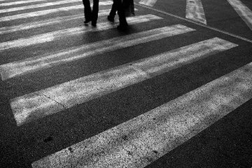 Trani e il senso civico: prevenzione ed educazione.