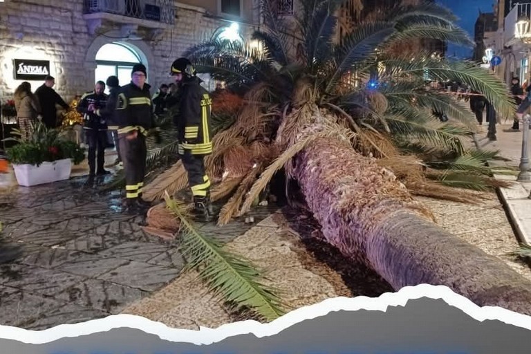 Trani Piazza Libertà