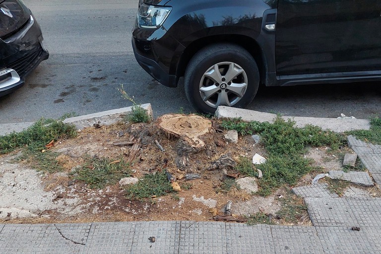 Trani Corso Imbriani 215