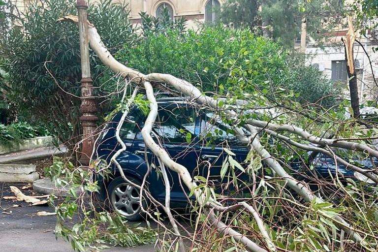 Trani - ex Ospedaletto. <span>Foto Credits</span>