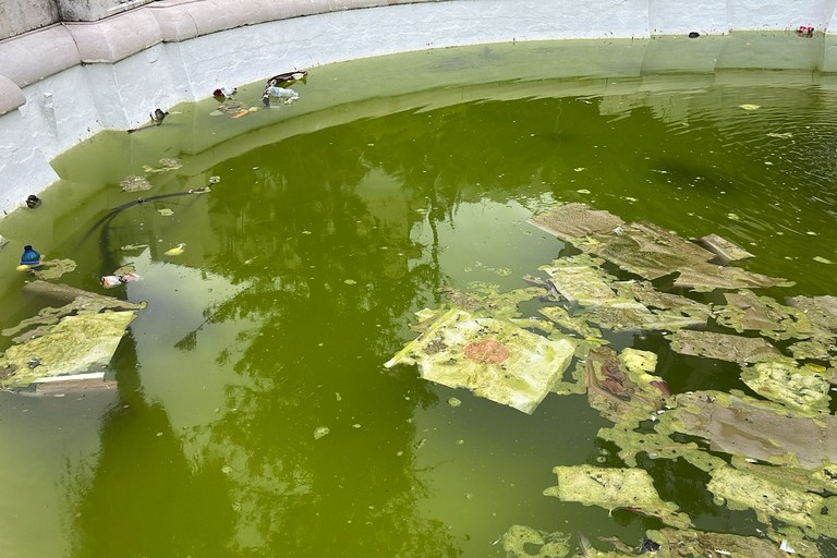 Trani - Piazza della Repubblica. <span>Foto Michele Straniero</span>