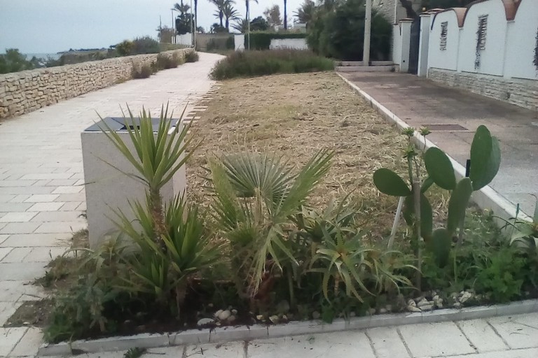 Trani aiuole essiccate