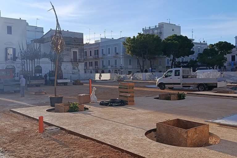 Piazza Gradenigo, lavori in dirittura d'arrivo: iniziata la piantumazione dei nuovi alberi. Prossima l'inaugurazione